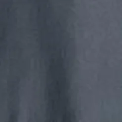 Mænd Carhartt WIP American Script Sweatshirt Med Haette | Zeus