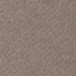 Mænd Carhartt WIP Carhartt Sweatshirt Med Haette | Gren / Rattan