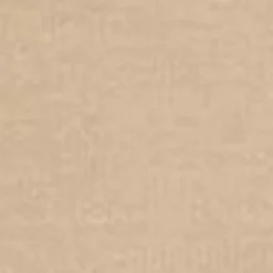 Mænd Carhartt WIP Chase Sweatshirt Med Haette | Sobel