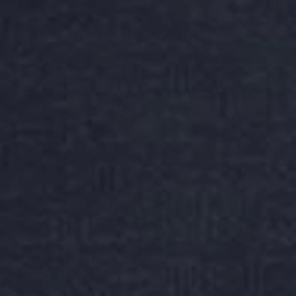 Mænd Carhartt WIP Chase Sweatshirt Med Haette | Dark Navy