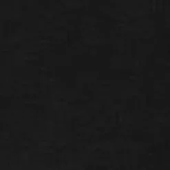 Mænd Carhartt WIP Chase Sweatshirt Med Haette | Sort