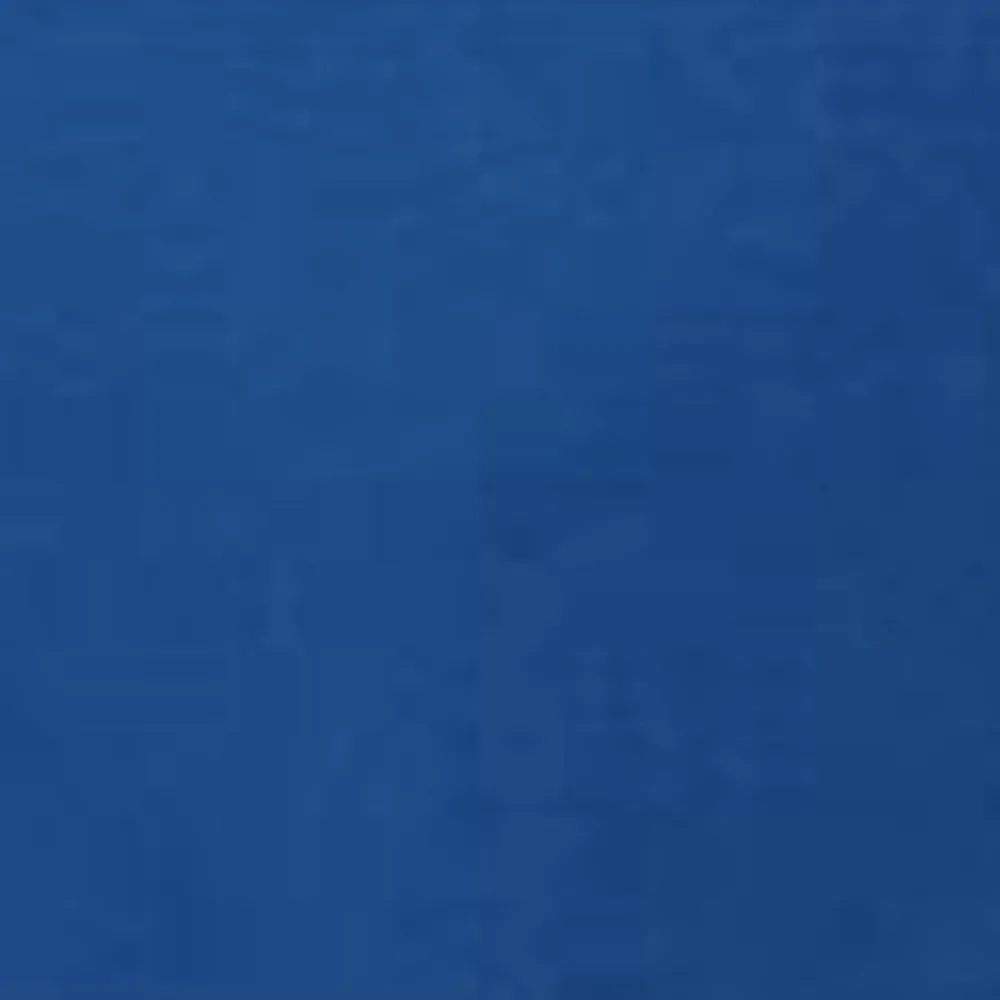 Mænd Carhartt WIP Chase Sweatshirt Med Haette | Acapulco