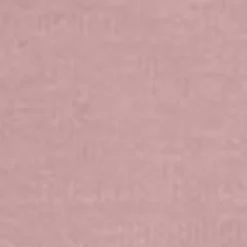 Mænd Carhartt WIP Chase Sweatshirt Med Haette | Glassyet Lyserod