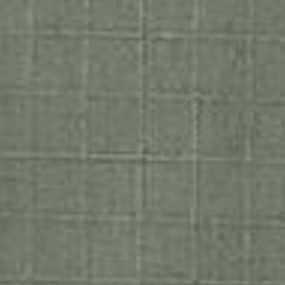 Mænd Carhartt WIP Elroy Skjortejakke | Parkere