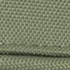 Carhartt WIP Essentials Taske | Dollar Gron