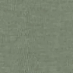 Mænd Carhartt WIP Graft T-Shirt | Parkere