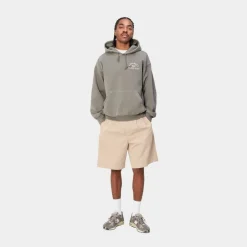 Mænd Carhartt WIP Haettetroje Klasse 89 | Marengo