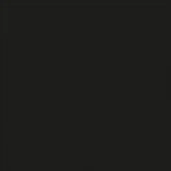 Carhartt WIP Jake Hoftetaske | Sort