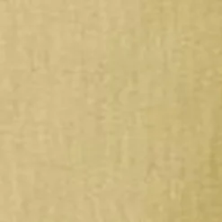 Kvinder Carhartt WIP Jet Cargo Bukser Til Kvinder | Agat