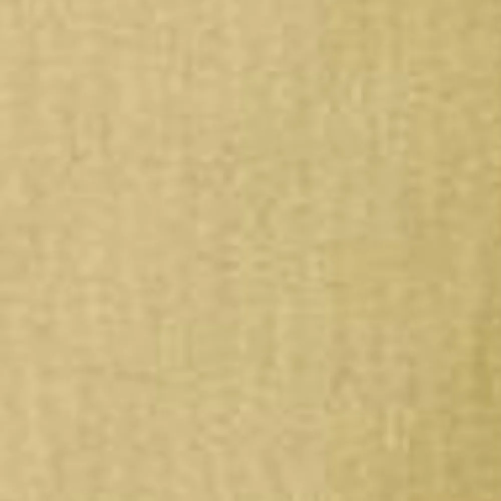 Kvinder Carhartt WIP Jet Cargo Bukser Til Kvinder | Agat