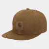 Mænd Carhartt WIP Logo Haette | Hamilton Brown