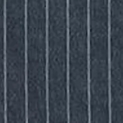 Kvinder Carhartt WIP Orlean Stripe-Bukser Til Kvinder | Bla/Hvid (Stenvasket)