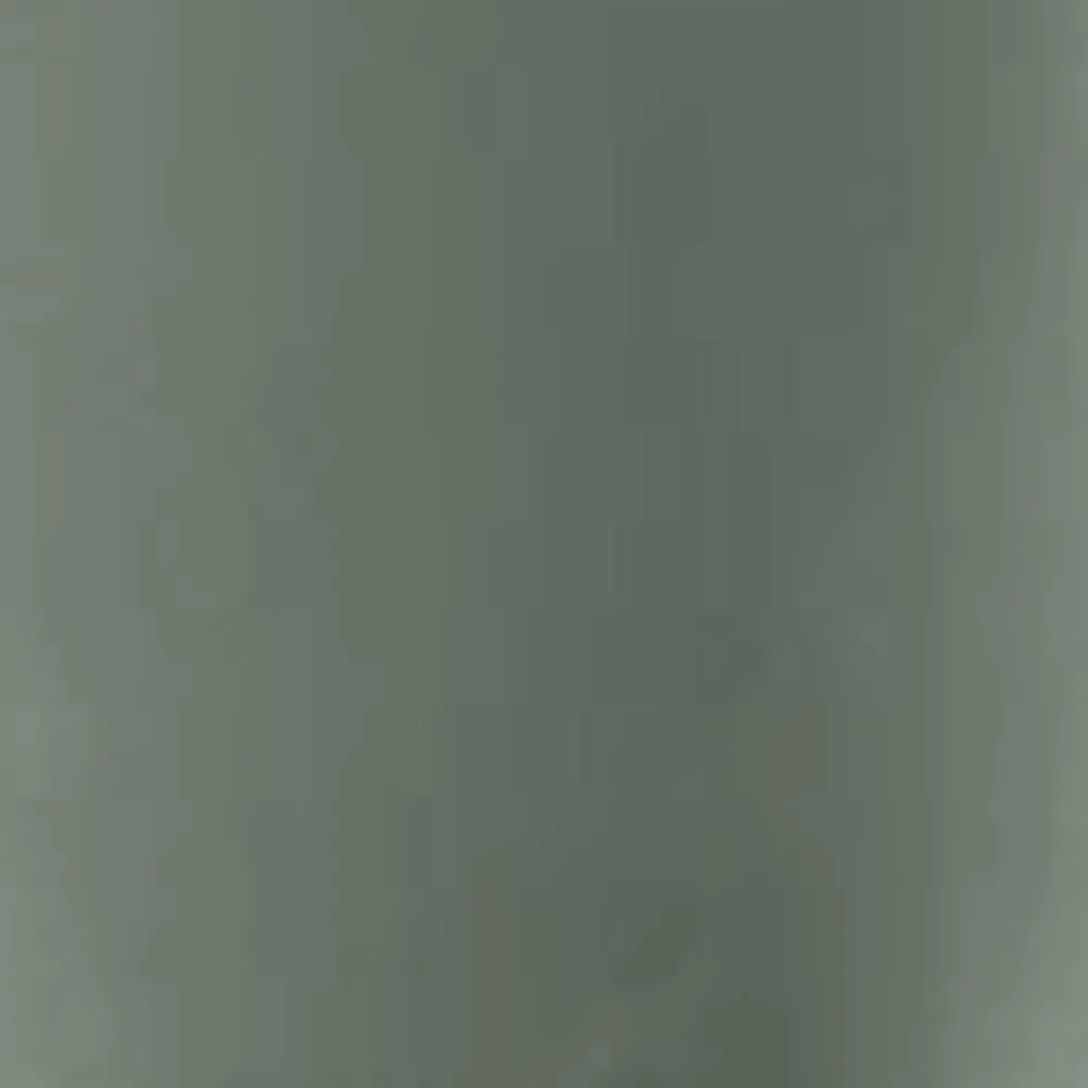 Mænd Carhartt WIP Otley Bomber | Parkere