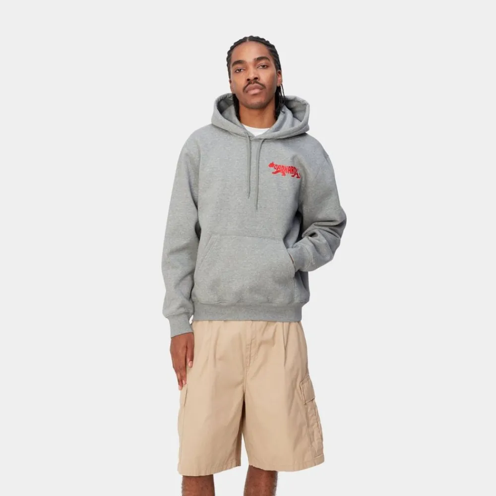 Mænd Carhartt WIP Rocky Script Sweatshirt Med Haette | Gra Lyng
