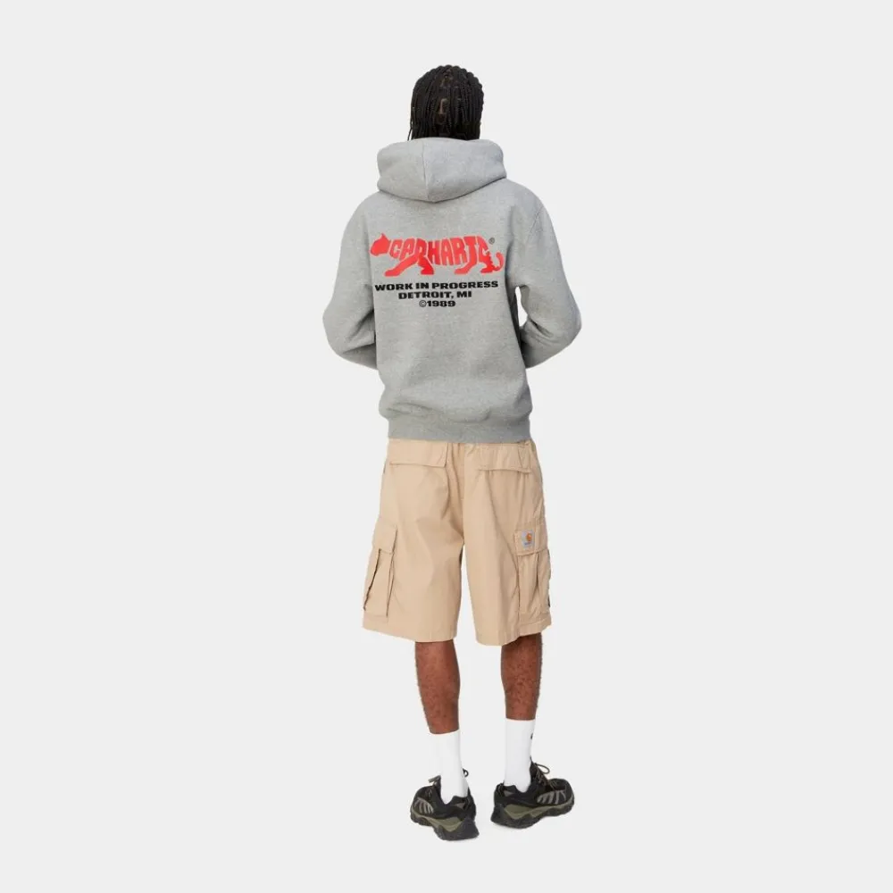 Mænd Carhartt WIP Rocky Script Sweatshirt Med Haette | Gra Lyng