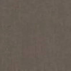 Mænd Carhartt WIP Sacai X Suiting Bonding Coat | Taupe