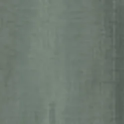 Mænd Carhartt WIP Skyton Liner | Parkere