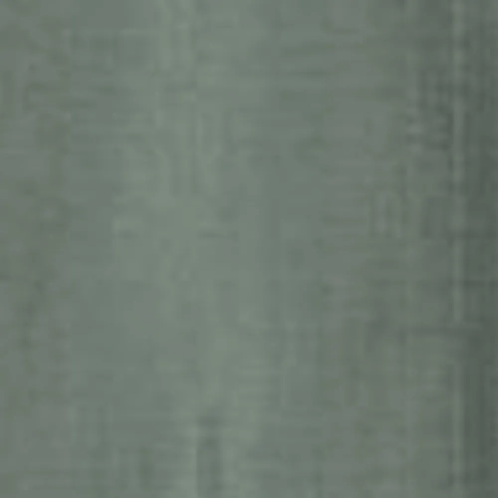 Mænd Carhartt WIP Skyton Liner | Parkere