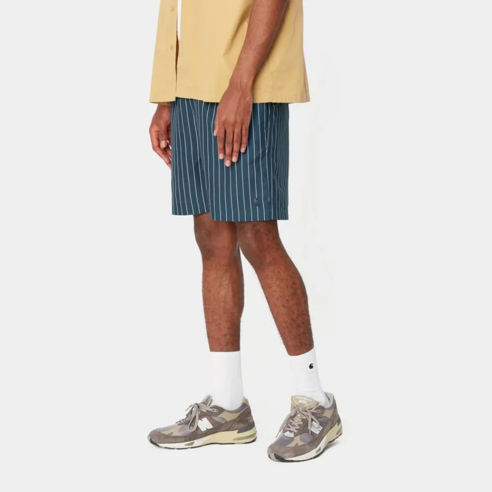 Mænd Carhartt WIP Slater Svommebukser | Bla Cason Stripe Lodret