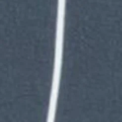 Mænd Carhartt WIP Slater Svommebukser | Bla Cason Stripe Lodret