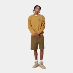 Mænd Carhartt WIP Smart Sports Sweatshirt | Solstrale