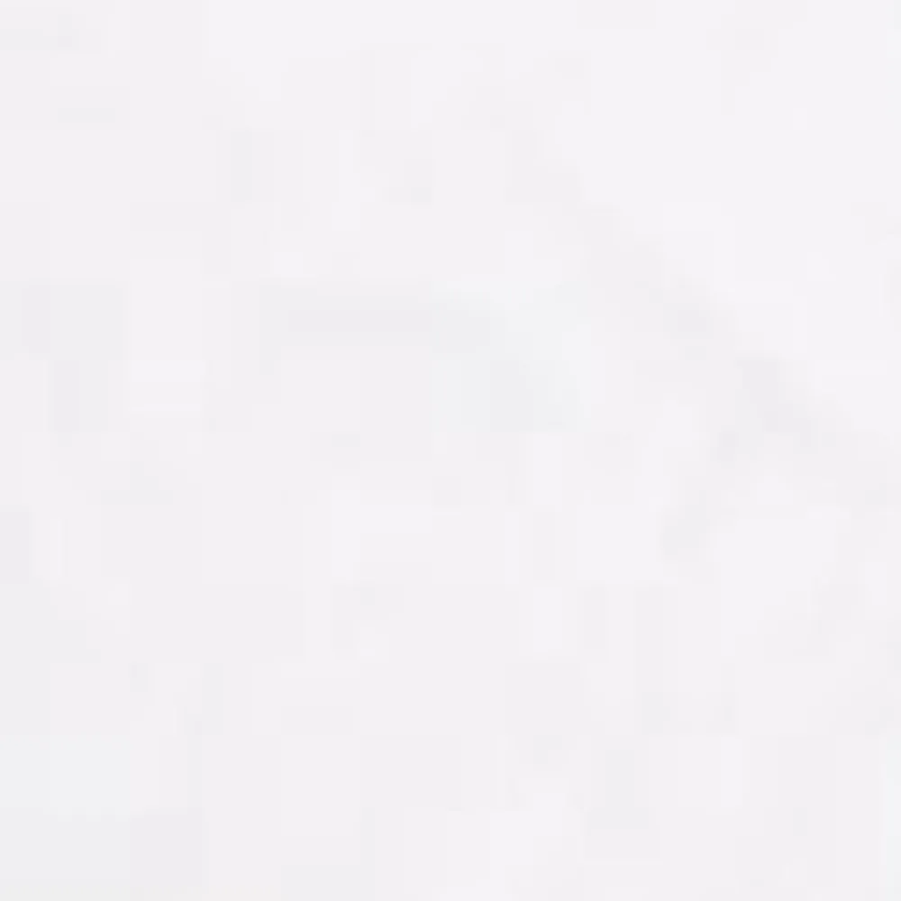 Mænd Carhartt WIP Standard T-Shirt Med Rund Hals (2 Pack) | Hvid + Hvid