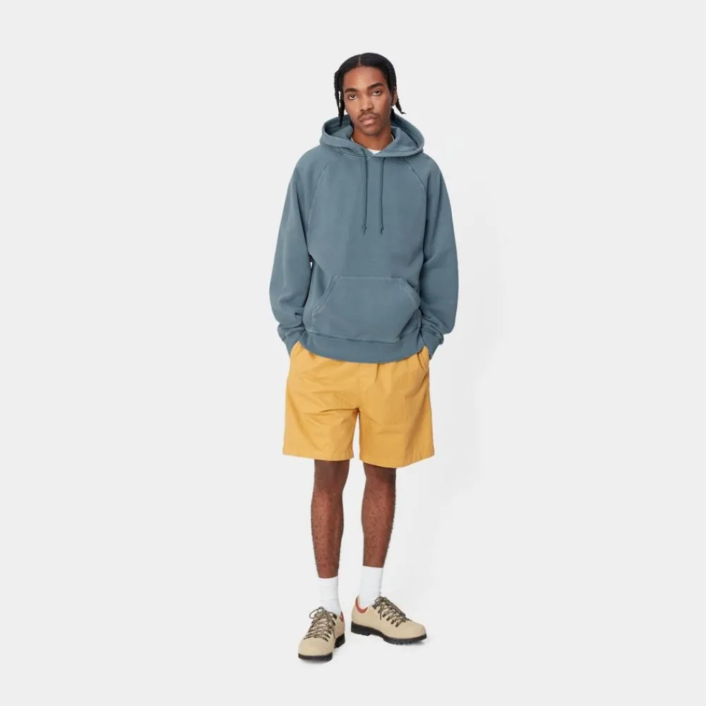 Mænd Carhartt WIP Taos Sweatshirt Med Haette | Vancouver Bla