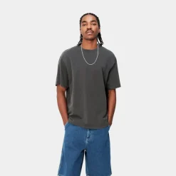 Mænd Carhartt WIP Taos T-Shirt | Flint