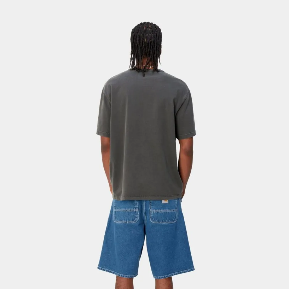 Mænd Carhartt WIP Taos T-Shirt | Flint