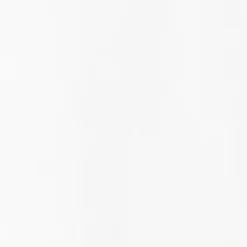 Kvinder Carhartt WIP T-Shirt Med Tekstbroderi Til Kvinder | Hvid