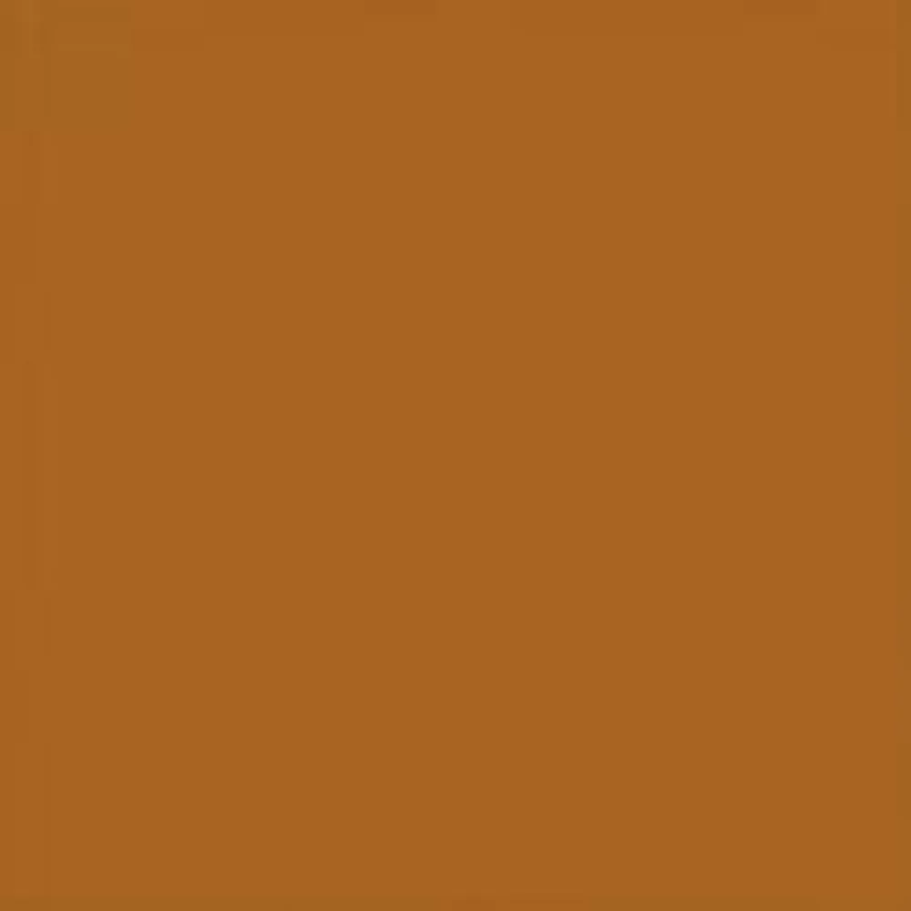 Mænd Carhartt WIP Vest (Forar) | Hamilton Brown